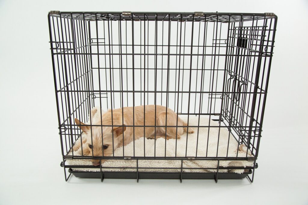 Dog cage for car