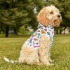 Whimsical Pet Hoodie with Fun Animal Prints - Cozy Apparel for Dogs and Cats - Image 6