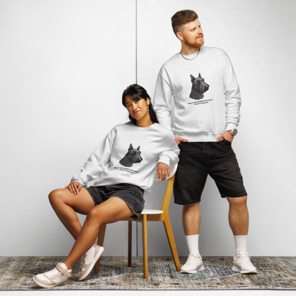 Crew neck sweatshirt