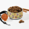 Pet bowl