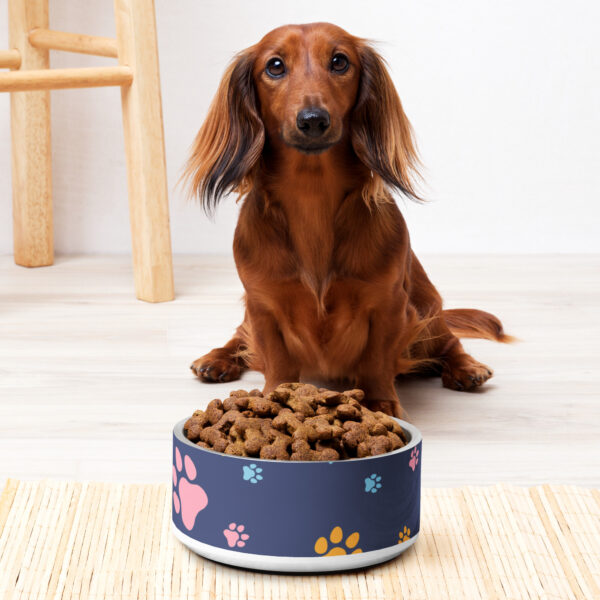 Pet bowl - Image 4