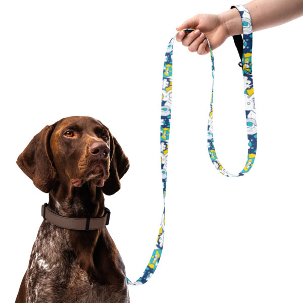 Pet leash by Dogs Colony