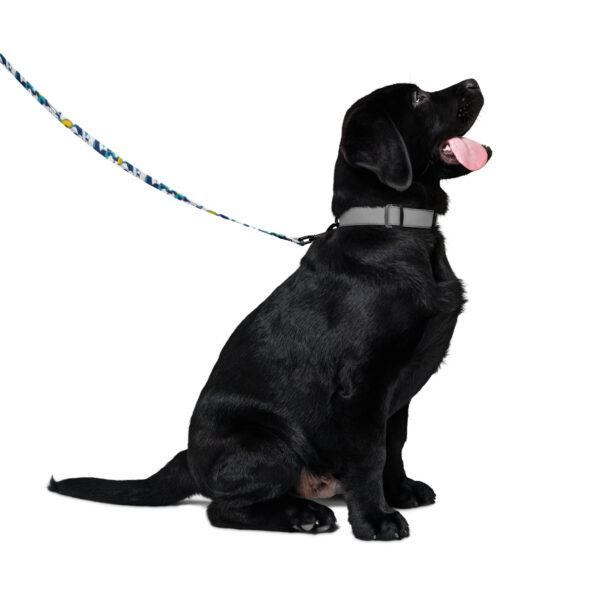 Pet leash by Dogs Colony - Image 3