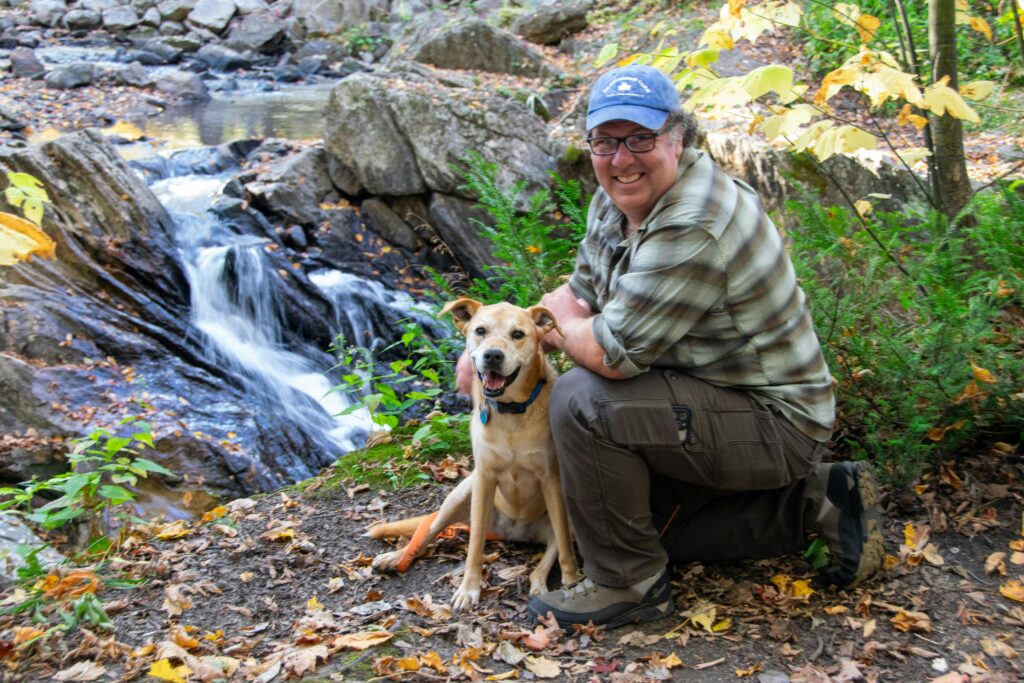 change the behavior of an old dog