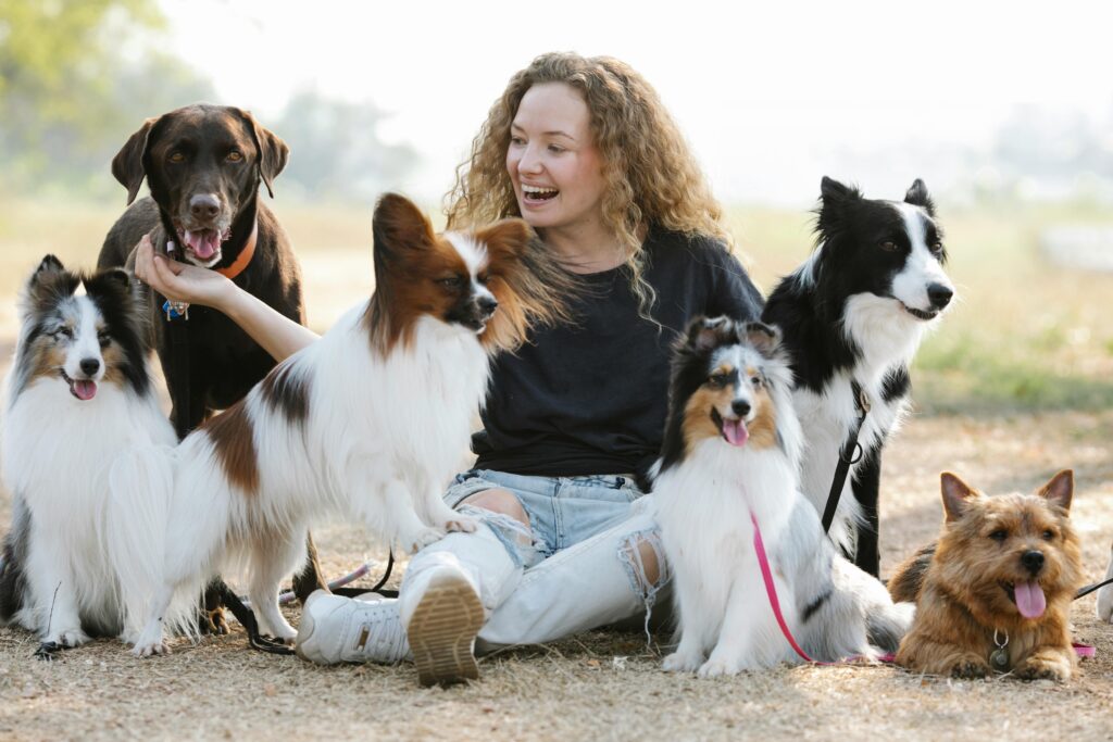 Five ways to communicate with your do