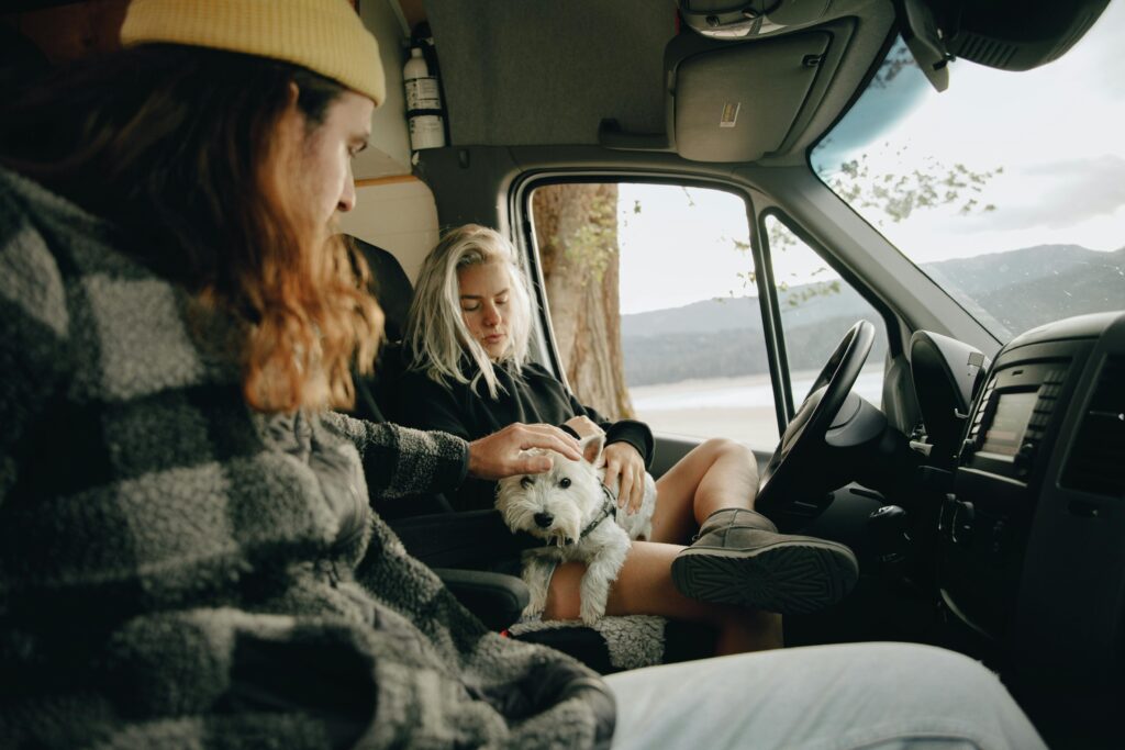 Essentials for a great trip with your dog!