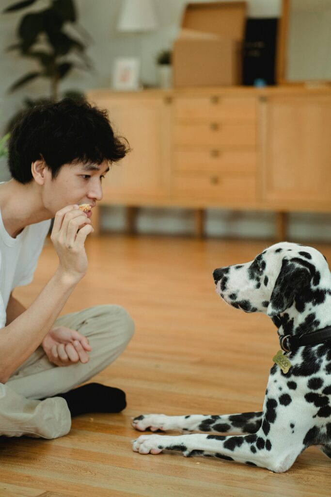 effective puppy behavior shaping
