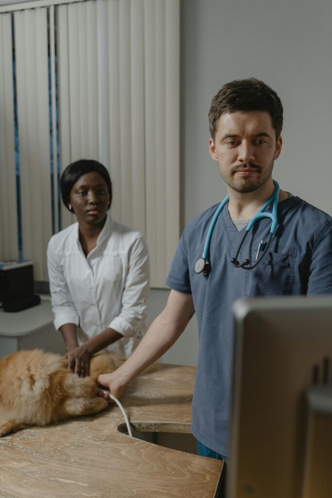 A veterinarian using medical equipment on a dog for dogs Urinary Tract Infections, with the pet owner observing attentively.