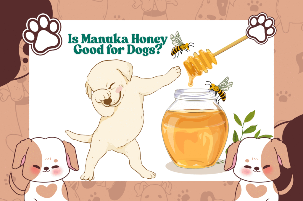 is manuka honey good for dogs