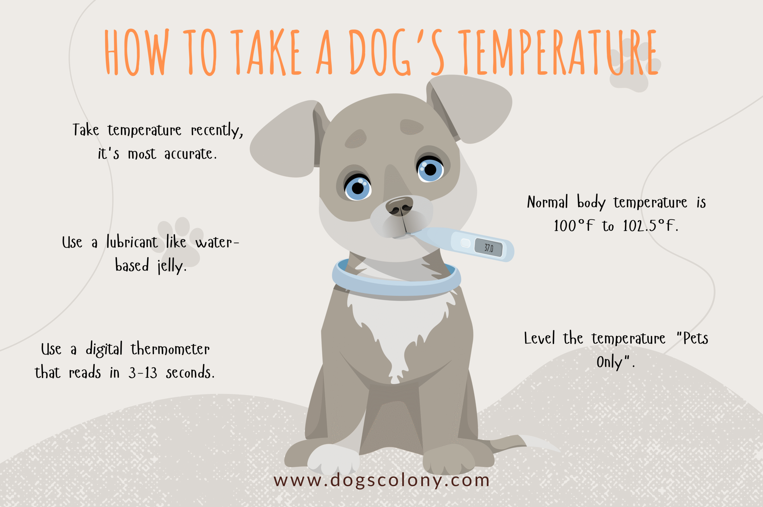 dog temperature