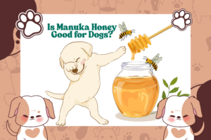 is manuka honey good for dogs