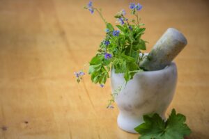 natural medicine, herbs from the meadow, nature, health, mortar, cleansing, a healthy diet, treatment, ecology, natural medicines, home remedies, regulations, the tradition of, home remedies, home remedies, home remedies, home remedies, home remedies