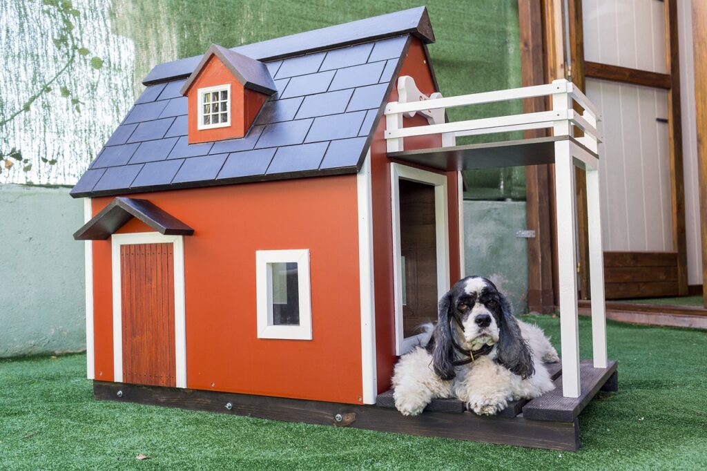 kennels for pets, animal, dog houses, wooden houses for dogs, mascot, nature, dog, pet, animals