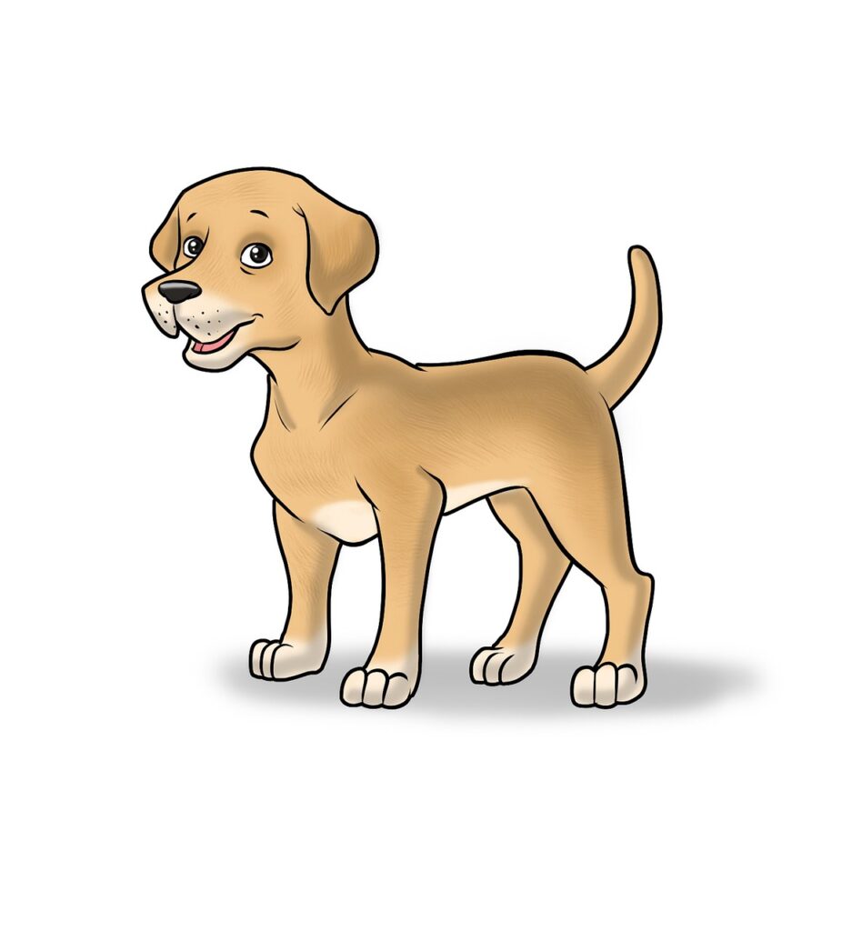 acid reflux in dogs gerd