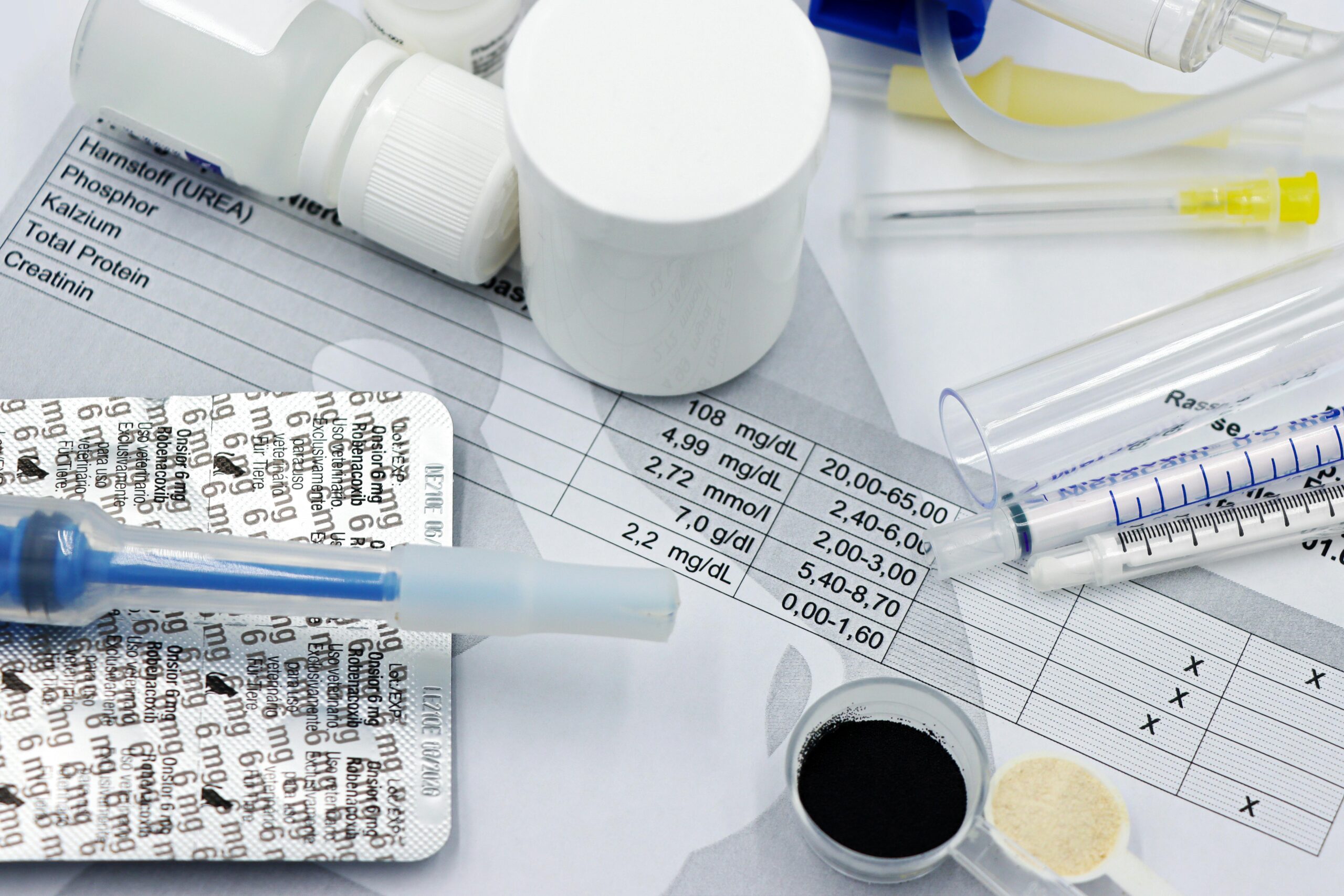 seizure medication for dogs
