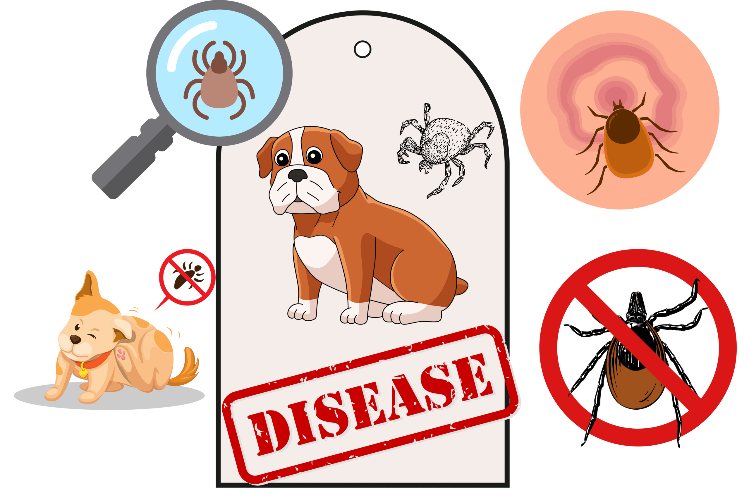 lyme disease in dogs