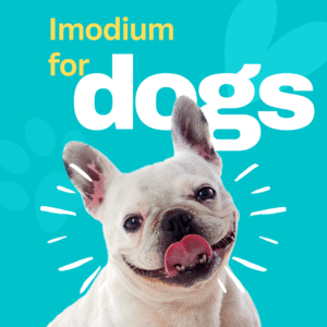 Imodium for dogs