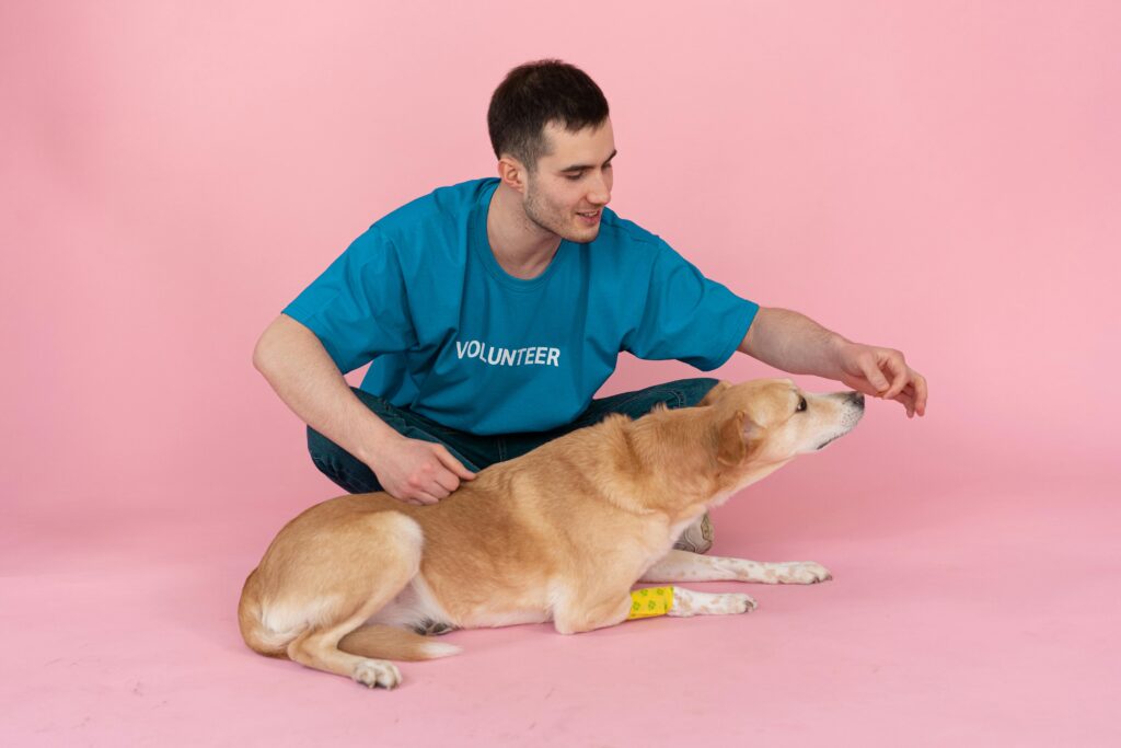 physical therapy for dogs