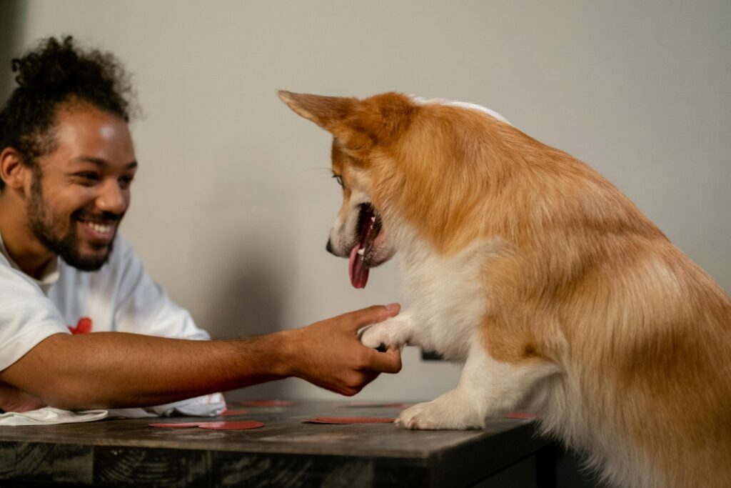how to assist dog birth