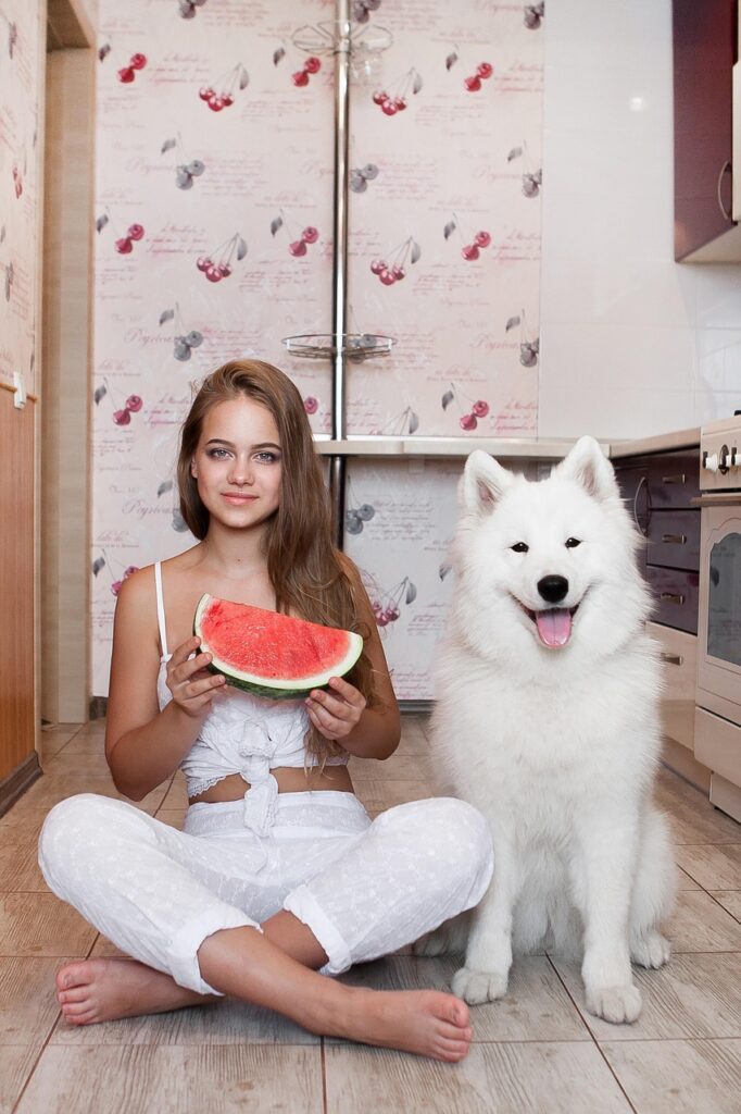 girl, nature, animal, pet, dog, kitchen, summer, entertainment, watermelon, sweet, wallpaper for girls, iphone wallpaper