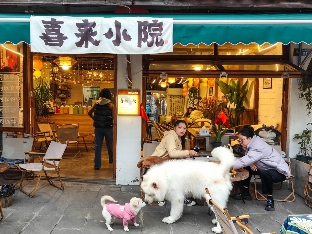 Picturesque Tea House with friendly dogs